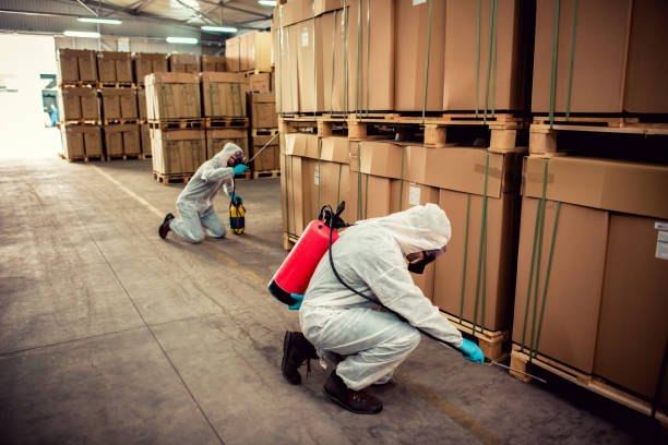 Best Wasp Removal Services  in Haviland, NY