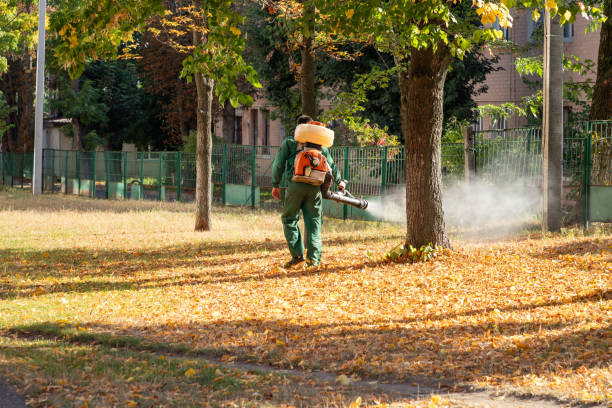 Best Wildlife Control Services  in Haviland, NY