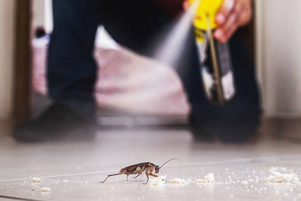 Best Pest Control for Restaurants  in Haviland, NY