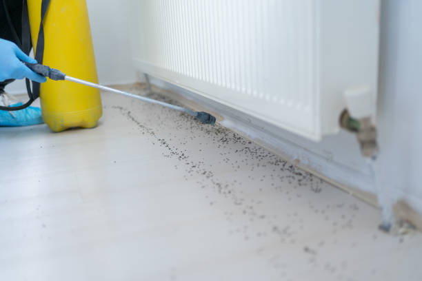 Pest Control Cost in Haviland, NY