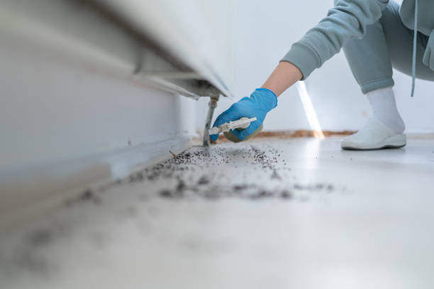 Pest Control for Restaurants in Haviland, NY