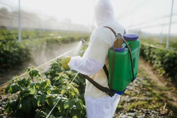 Best Best Pest Control Companies  in Haviland, NY